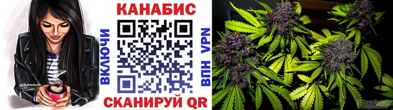 Бошки марихуана MAZAR  как найти закладки  Сосногорск 